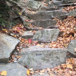 Thousand Steps - 1000 step