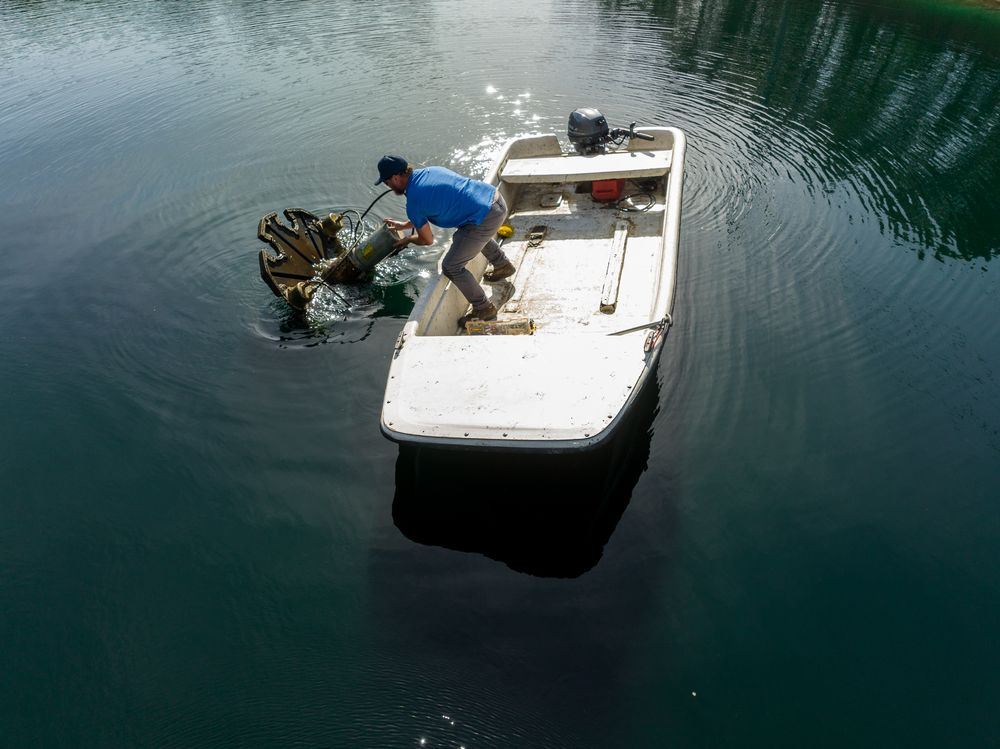 THE LAKE DOCTORS Request Information 12 Photos 885 S Kings Hwy