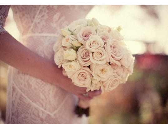 Bright Bird Photography