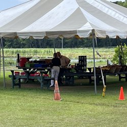 Dempsey Farms - Squash, cucumbers, tomatoes, blueberries - they were all sold out of pre-picked strawberries today