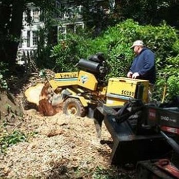Rappahannock Tree Preservation - Tree Services Near Me Rappahannock Tree Preservation - Tree Services Near Me