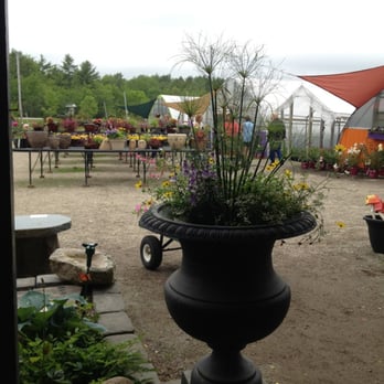 Ossipee Trail Garden Center - Nurseries & Gardening Near Me - Gorham, Maine Ossipee Trail Garden Center - Nurseries & Gardening Near Me - Gorham, Maine