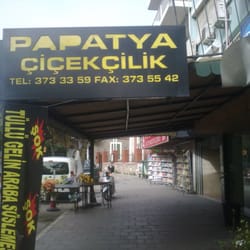 Papatya Çiçekçilik