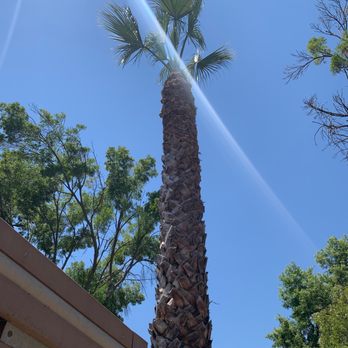 Above It All Tree Care - Tree Services Near Me