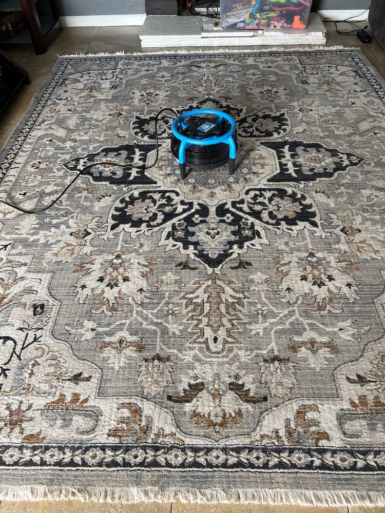 COMPLETE CARPET AND FLOOR CARE Updated September 2024 24 Photos