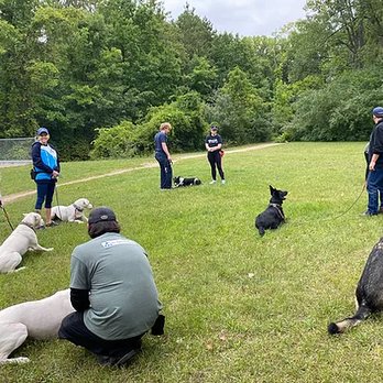 Tri Canine Campus - Pet Training Near Me - Clarkston, Michigan Tri Canine Campus - Pet Training Near Me - Clarkston, Michigan