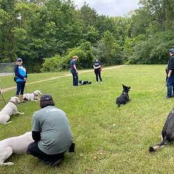 Tri Canine Campus