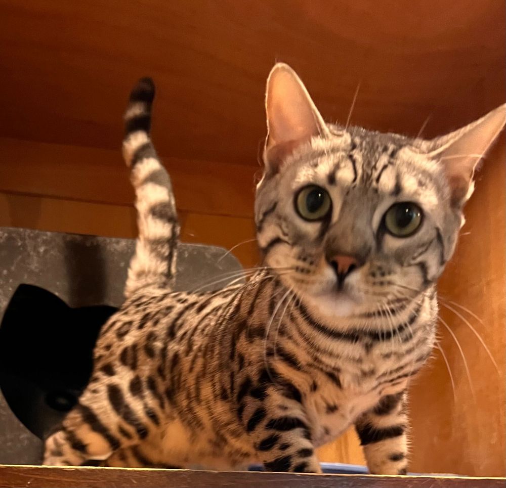 RIVERWALK PET RESORT 156 Reviews & 1193 Photos 12111 Severn Way, Riverside, California Pet