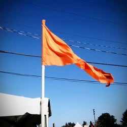 Max Orange Line