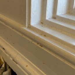 Dirty window, messy plate - A detailed close-up of a window frame shows dust, dirt, and grime accumulated on the painted surface.