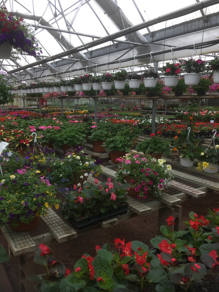 PARADISE NURSERIES 22 Photos 226 Paradise Ave, Hamden, CT Yelp