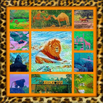 Bronx Zoo - Montage of images from the Bronx Zoo - Zoos Near Me - Bronx, New York Bronx Zoo - Montage of images from the Bronx Zoo - Zoos Near Me - Bronx, New York