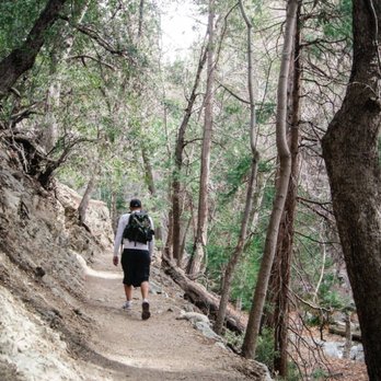 Old Mt. Baldy Trail - Hiking Near Me - Mount Baldy, California