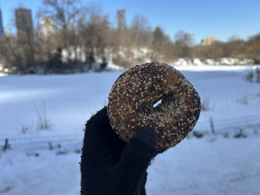 PopUp Bagels by null