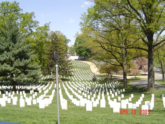 Arlington National Cemetery by null