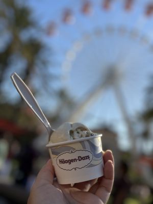 Häagen-Dazs by null