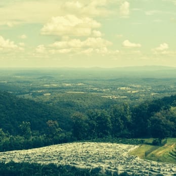 Stone Mountain Vineyards - View from the porch. - Wineries Near Me - Dyke, Virginia