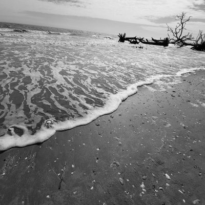 Botany Bay Heritage Preserve/Wildlife Management Area by null