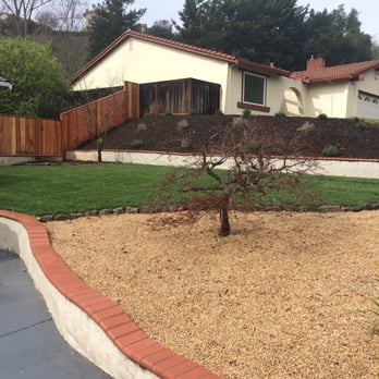 Samayoa Landscaping Berkeley - After, front yard. New grass, irrigation, plants. And new fence! - Landscaping Near Me