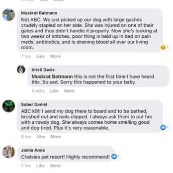 ABC K-9 & Equine - thread of people asking for boarding recommendations, the poor dog who was stapled owner says NOT ABC and explains why. - Pet Training Near Me - Fairbanks, Alaska