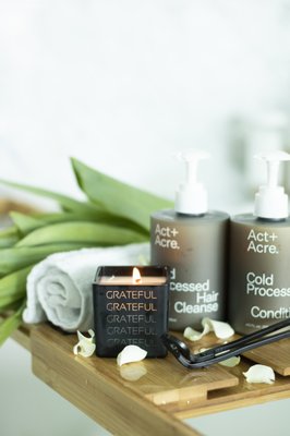 TAJA Collection by null