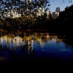 Parque Ecológico de Águas Claras
