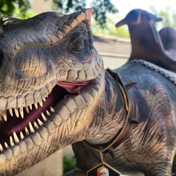 Dino Encounters - Party & Event Planning Near Me Dino Encounters - Party & Event Planning Near Me