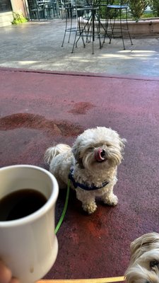 Off the Rail Cafe by null