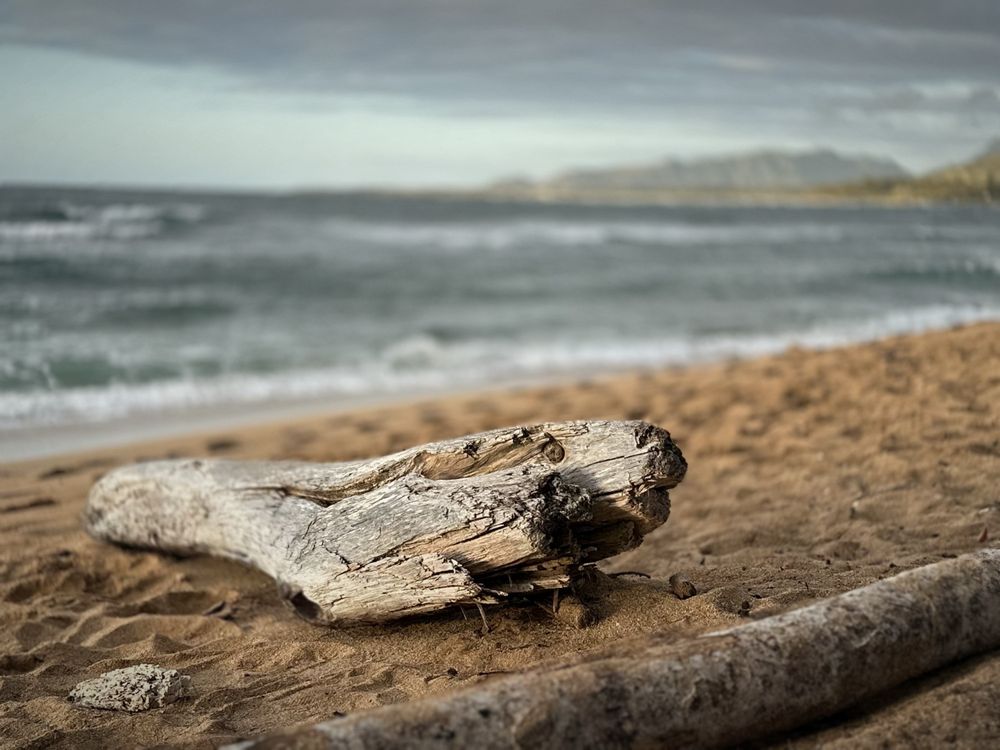 Kauai Shores