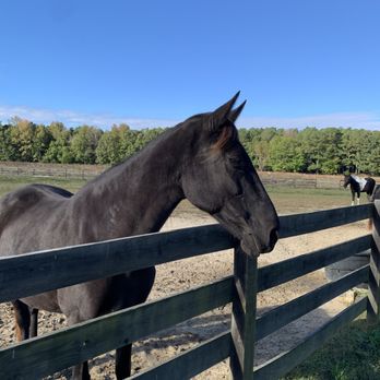 Two River Trails - Beautiful property with super clean barn/facility. - Horseback Riding Near Me - Providence Forge, Virginia Two River Trails - Beautiful property with super clean barn/facility. - Horseback Riding Near Me - Providence Forge, Virginia