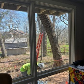 Dawsons Tree Service - Tree Services Near Me