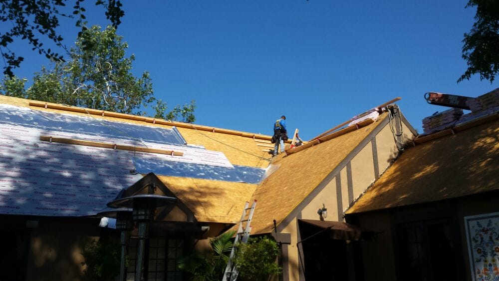 Slide of Born 2 Roof