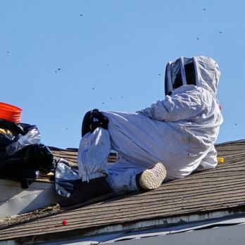 Swarm Pest Control - Taking a little break. - Pest Control Near Me - Santa Ana, California Swarm Pest Control - Taking a little break. - Pest Control Near Me - Santa Ana, California