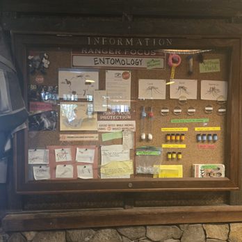 Gorilla Falls Exploration Trail - Amusement Parks Near Me - Lake Buena Vista, Florida