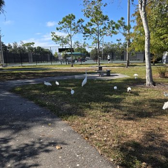 Payne Park - Parks Near Me - Sarasota, Florida Payne Park - Parks Near Me - Sarasota, Florida