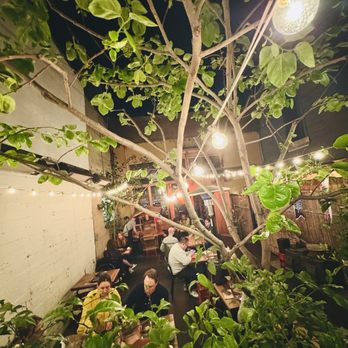 Rintaro - Outdoor Patio - Izakaya Near Me - San Francisco, California