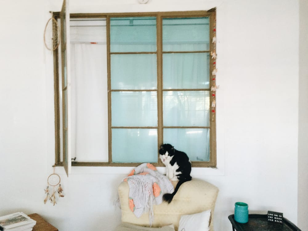 Peach Properties - property management company in Tucson, AZ