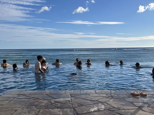Waikiki Beach Services @ Royal Hawaiian by null
