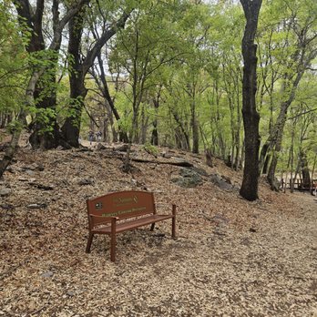 Ramsey Canyon Preserve - Hiking Near Me - Hereford, Arizona