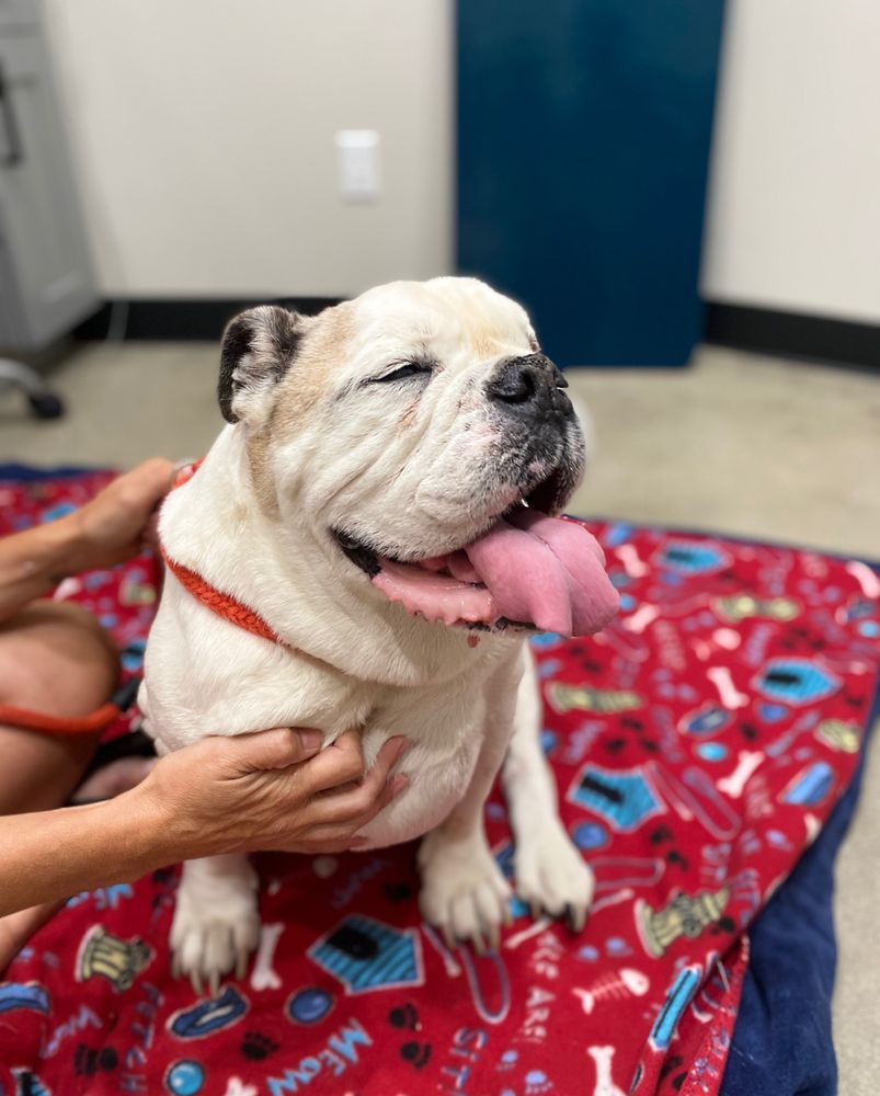 PINNACLE VETERINARY CENTER Updated June 2024 92 Photos & 209