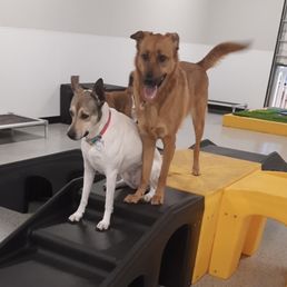 My two at daycare! Photo is from the report card you get at the end of everyday My two at daycare! Photo is from the report card you get at the end of everyday