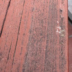 Reber Painting - Mold? Not sure on deck rail. Reber