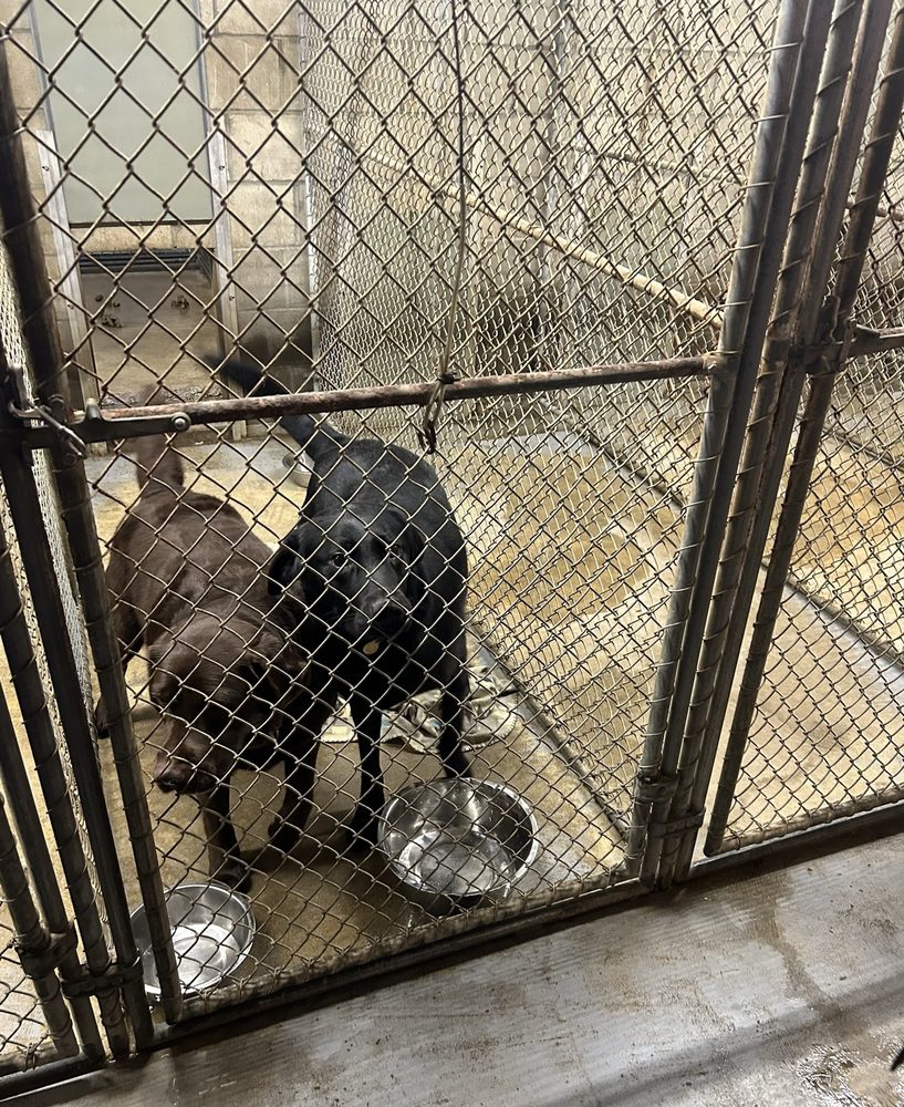 SMALL ANIMAL CLINIC Updated October 2024 16 Reviews 9 Toothaker Ln, Ellsworth, Maine