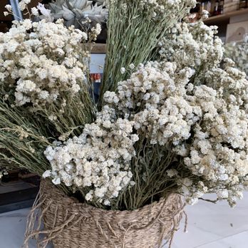 Commune - Dried florals - Gift Shops Near Me - Grand Rapids, Michigan