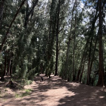 Wolf Lake Park - Parks Near Me - Davie, Florida