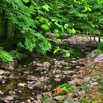 Black Creek Greenway - Yet another little creek - Parks Near Me - Cary, North Carolina