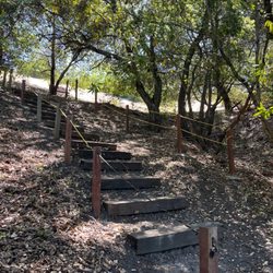 The Child Day School - Steps leading up to hiking trails in the school property
