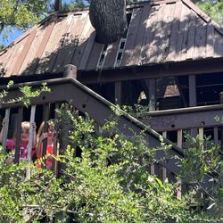 Baytowne Tree House