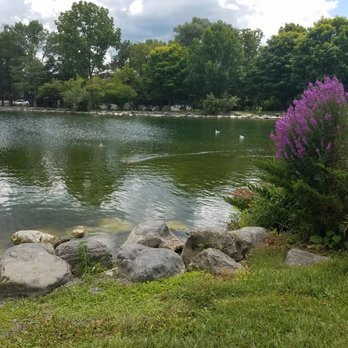 Swan Pond - Only want to see you quacking in the purple bush.... - Parks Near Me - Manlius, New York Swan Pond - Only want to see you quacking in the purple bush.... - Parks Near Me - Manlius, New York