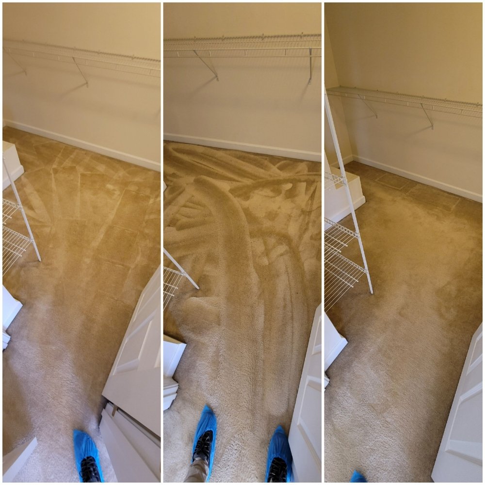 MICA CARPET & UPHOLSTERY CLEANING Updated July 2024 276 Photos